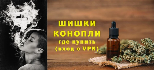a pvp Бородино