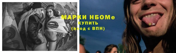a pvp Бородино
