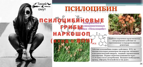 ECSTASY Семикаракорск
