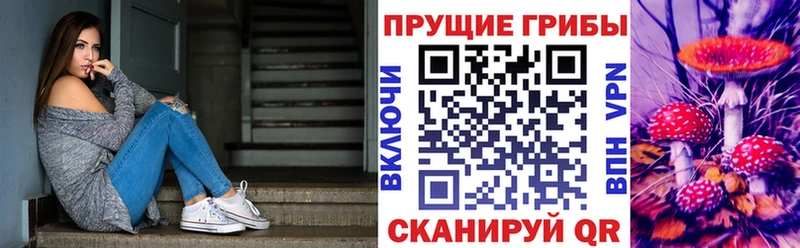 гидра tor  Дзержинский  Галлюциногенные грибы Magic Shrooms 